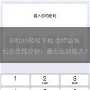 Bitpie轻松下载 比特派钱包安全性分析：是否足够强大？