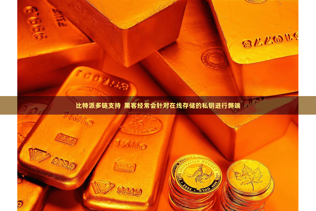 比特派多链支持  黑客经常会针对在线存储的私钥进行弊端