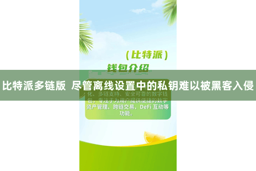 比特派多链版  尽管离线设置中的私钥难以被黑客入侵